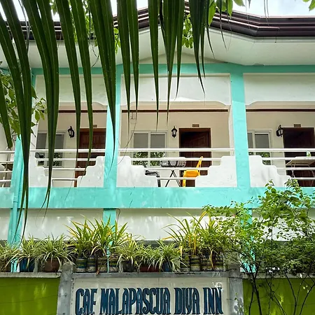 Caf Malapascua Diva Inn